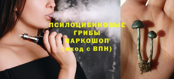 трава Наволоки