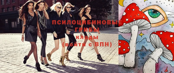 трава Наволоки