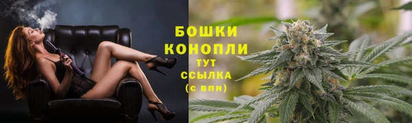трава Наволоки