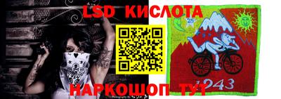 мяу мяу мука Кандалакша