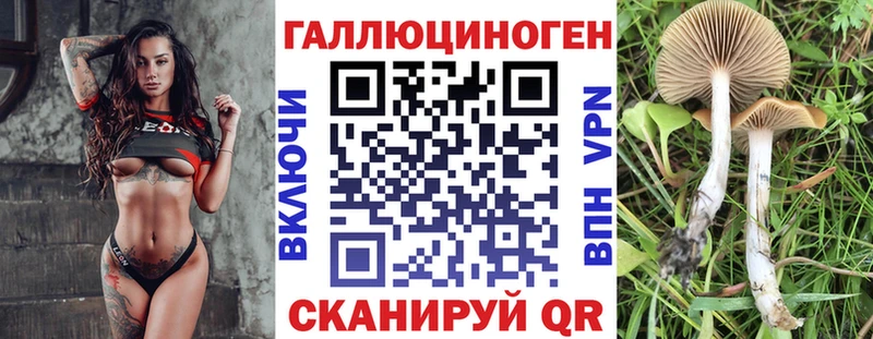 Псилоцибиновые грибы прущие грибы  даркнет сайт  Орск 