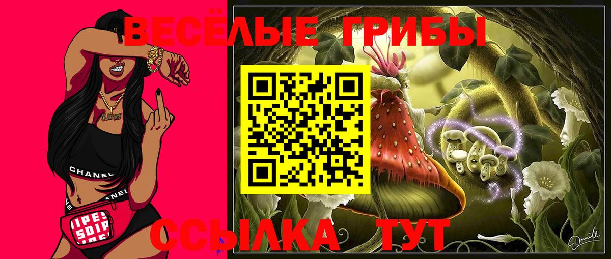 Псилоцибиновые грибы мицелий  Псилоцибиновые грибы GOLDEN TEACHER  Вход с VPN  как найти закладки  Орск 
