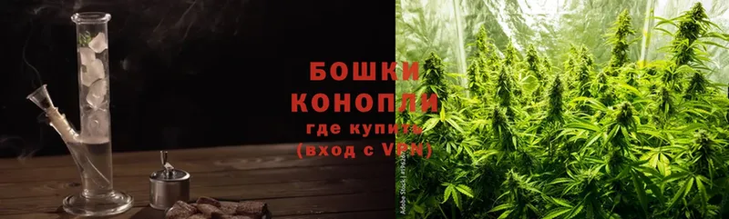 Шишки марихуана THC 21%  купить наркоту  Орск 