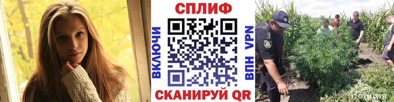 где купить наркоту  blacksprut рабочий сайт  Марихуана OG Kush  Орск 